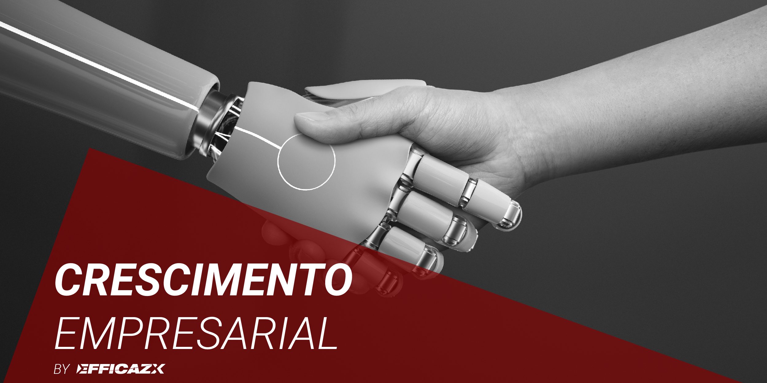 Crescimento Empresarial-
